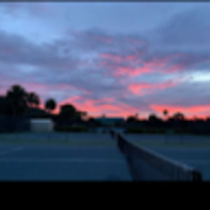 Meet your Posher, Sofia